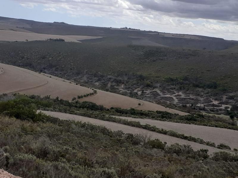 0 Bedroom Property for Sale in Albertinia Western Cape